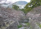 2008-03-29- KOBE-P1010452